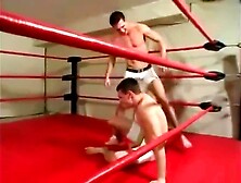 Wrestling Ballbusting