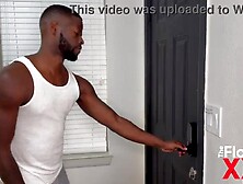 Trailer Spicy Jayde may have had ebony cock on her mind,  who knows but when that babe went over to her neighbour Ace Hardz place