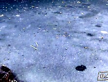 BJRAW Keira Croft,  Sucks Romeo Mancini large schlong and takes biggest facial!