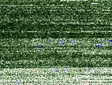 Martina - aus dem Urlaubstagebuch eines Teenagers - Anita Feller