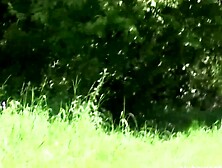 Freeze Frame A Desperate Rollerblading Orgy