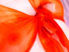 SunKissed Seduction Haleys Sweet Surrender