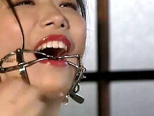 Bondage Obsession Electrifying Desire