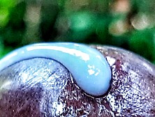 I want you to Open your Mouth Chunky has you Watch me Release my Large Cumload (Extreme Close Up)