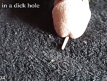 u73cdu5b9du306eu7a74u306bu5165u308bu30dfu30dfu30ba