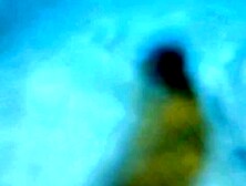 traier: live in the water,  love by the moon