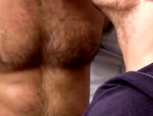 Muscular Hunks Adam And Tyler Fucked Hard In A Raw Sex Scene