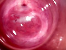 Camera deep into Stepsisters barely legal creamy vagina