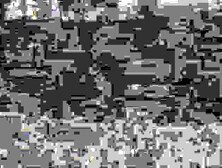 Sarah Jane Ceylon Tuition