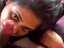 Indian Desi Giving head POV video