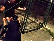 Suck pig sucking fat cock outdoor