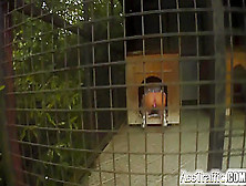 Ass Traffic Chick gets her ass trained by 2 well hung guys