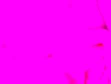 Hot Real School Girl Sucks Dick