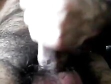 Hairy Bear Daddies Cum (Amateur )