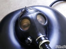 Day In Total Enclosure