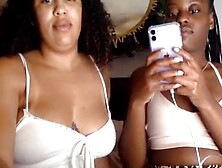 les brazil: Amateur,  Babe & Xhamster Porn