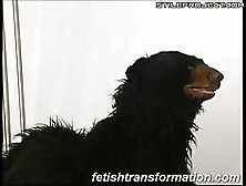 Fetish Transformation