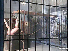 Erik Everhard Claire Dames in Anal Pounding - SexAndSubmission