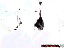 Black Anita Peida Receives Facial Spunk fountain After Group Sex