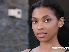 Stars - Ebony - Barbie Rous