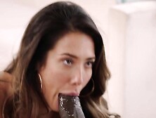 The pussy of Eva Lovia is very wet
