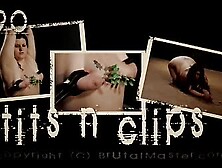 20081016 490 tits n clips