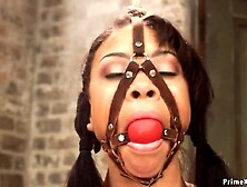 Breasty gaged black serf Jade Aspen is set on Sybian in servitude by mastix Claire Adams then Nerine Mechanique whipped in diffe