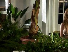 Dark Haired blows the large dick before being laid rough