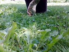 Flowers Crushed by Bare Feet