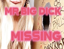 Gloryhole - In Search Of The Lost Mister Big Dick - Public Toilet Mall Suck