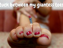 Shrinking a free loader