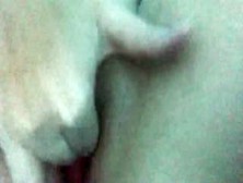 Ex-Wife Cumming