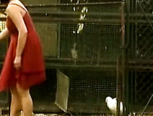 Hot German babes in wild foursome - anal,  blowjob & hardcore action