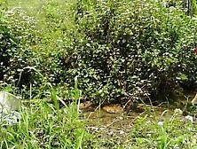 Bathing In The Creek (Non Nude But Has Wet T Shirt!)