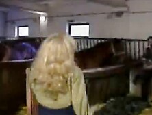 Stallburschen muss man zur Arbeit zwingen