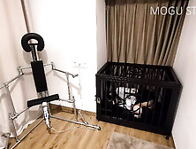 Mogu Studio - Metal Chair Torment Preview