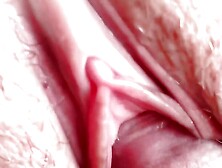 Slowly Fuck a Beautiful Pussy.  Cum Inside.  Close-up.