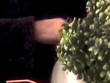 Blow Job at the Wedding Party