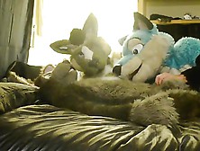 Fursuit 1