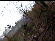 Vintage:30y. ago: forest and highway acting kinky+n