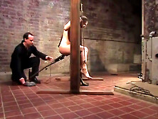 Pain Dee Is Pulled Three Ways