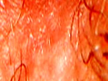 Female Textures - Kiss Me (Hd 1080P)(Vagina Close Up Hairy Sex Pussy)(By Rumesco)