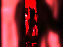 Adorable Red Fox Women And Tik Tok Silhouette Challenge Meow