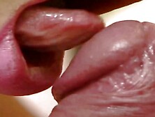 Busty milfs sharing dick in threesome