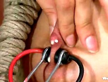 Kelly And Her Divine Ass - Kink