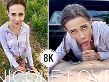 Sex In A Pickup Truck