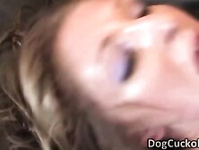 Jaelyn Fox gets fucked rough by BBC in her tight little pussy