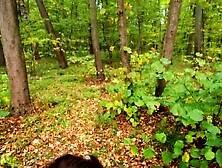 TEEN NEARLY CAUGHT SUCKING SCHLONG IN PUBLIC PARK - FACIAL