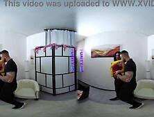 PurityVR - Delivery Hotty