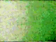 Sperm Eater, 1965 Master Film Vintage